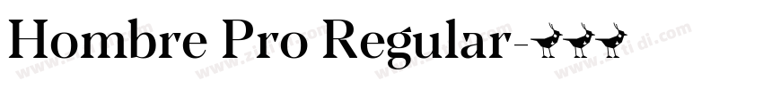 Hombre Pro Regular字体转换